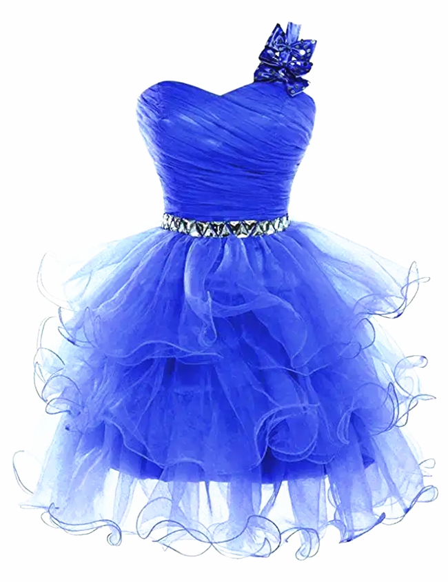 One Shoulder Blue Organza Short Hoco Dress Party Semi Formal Occasion Gown Homecoming Dresses 2025